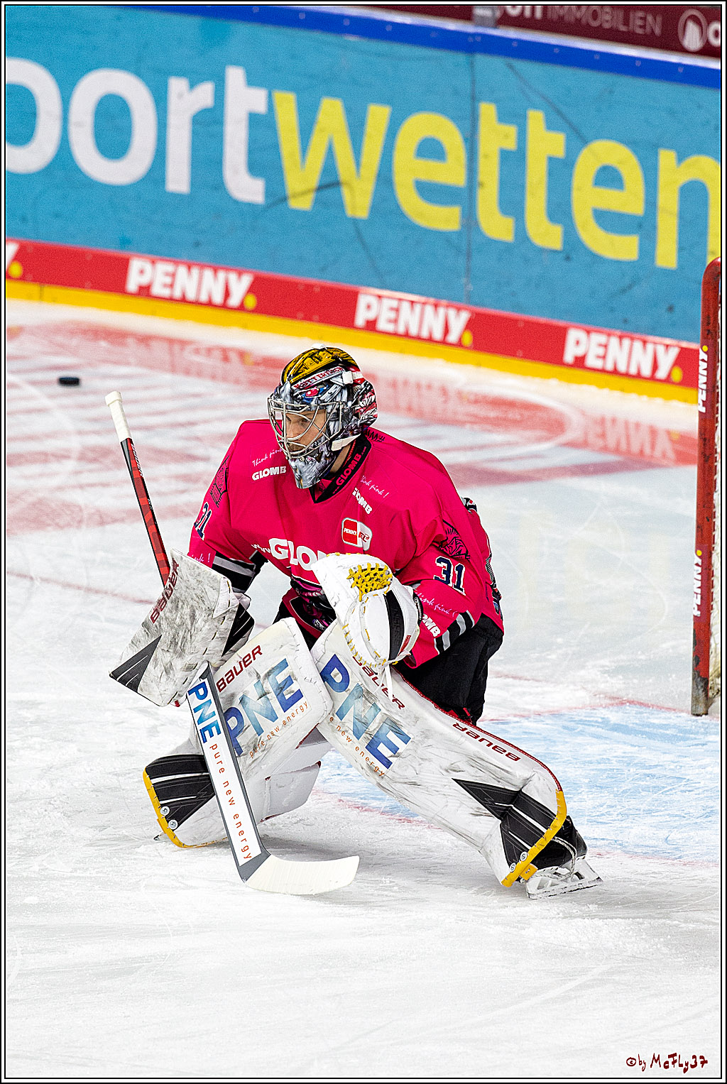 PENNY DEL;  Koelner Haie - Fischtown Pinguins Bremerhaven; Koeln, 12.02.2021